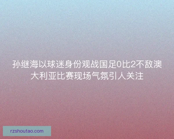 孙继海以球迷身份观战国足0比2不敌澳大利亚比赛现场气氛引人关注