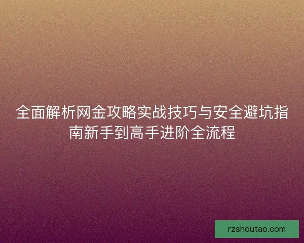 全面解析网金攻略实战技巧与安全避坑指南新手到高手进阶全流程