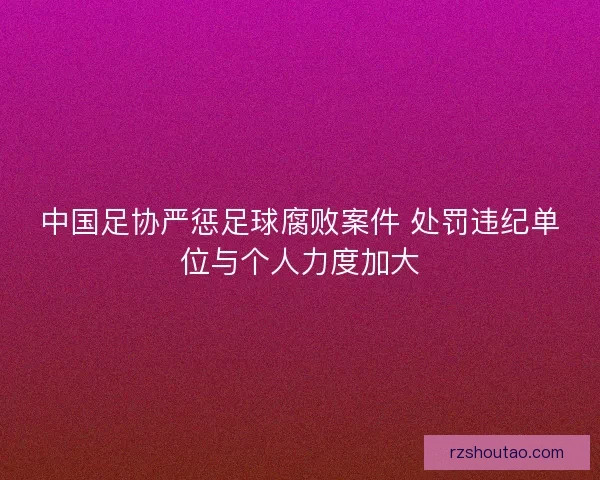 中国足协严惩足球腐败案件 处罚违纪单位与个人力度加大