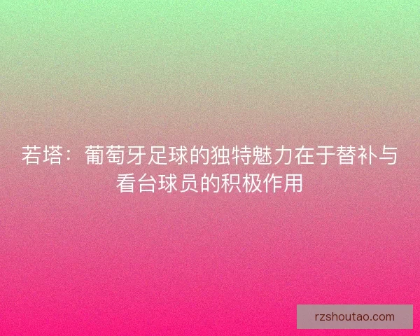 若塔：葡萄牙足球的独特魅力在于替补与看台球员的积极作用